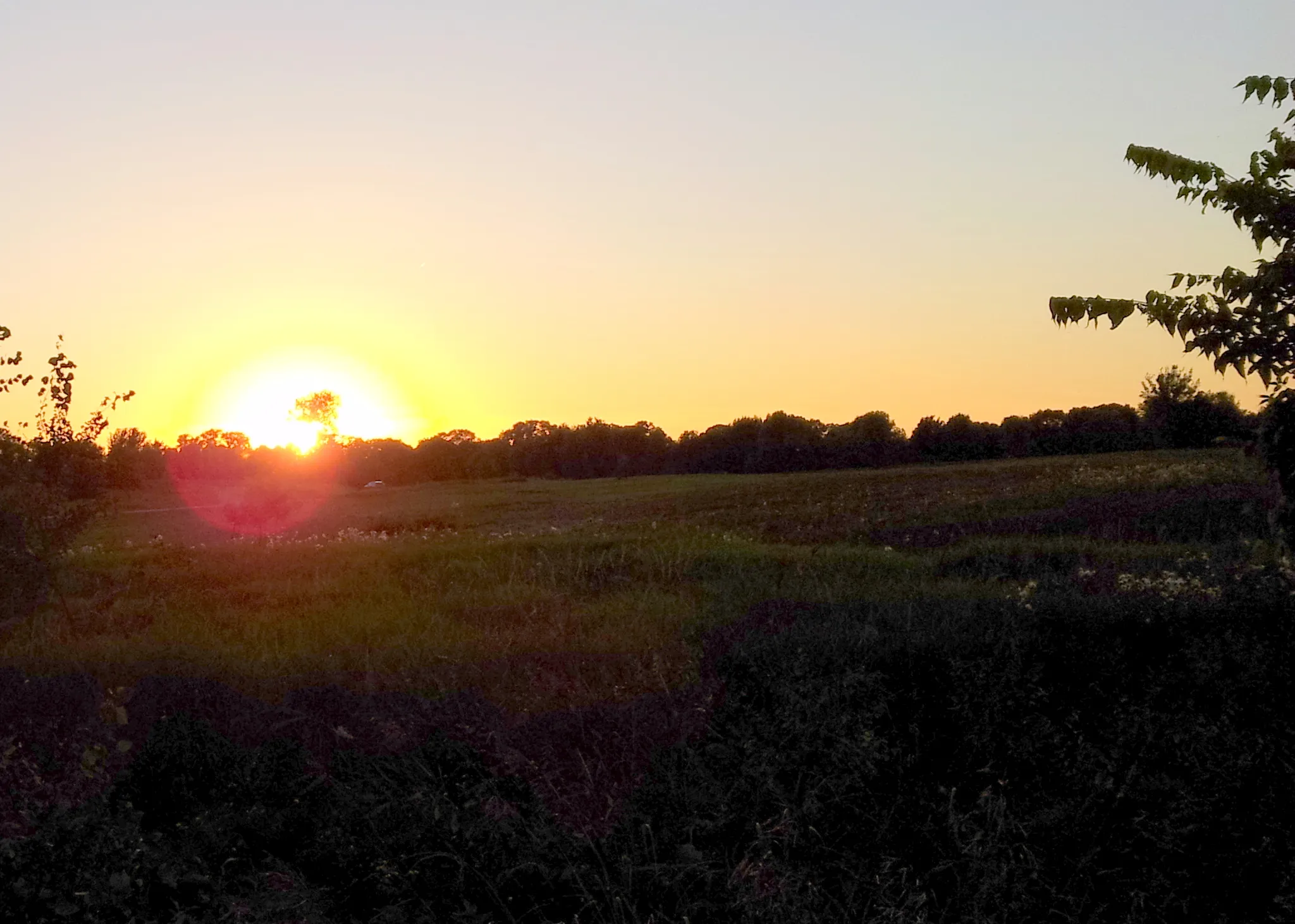 Lake Elmo Park Reserve