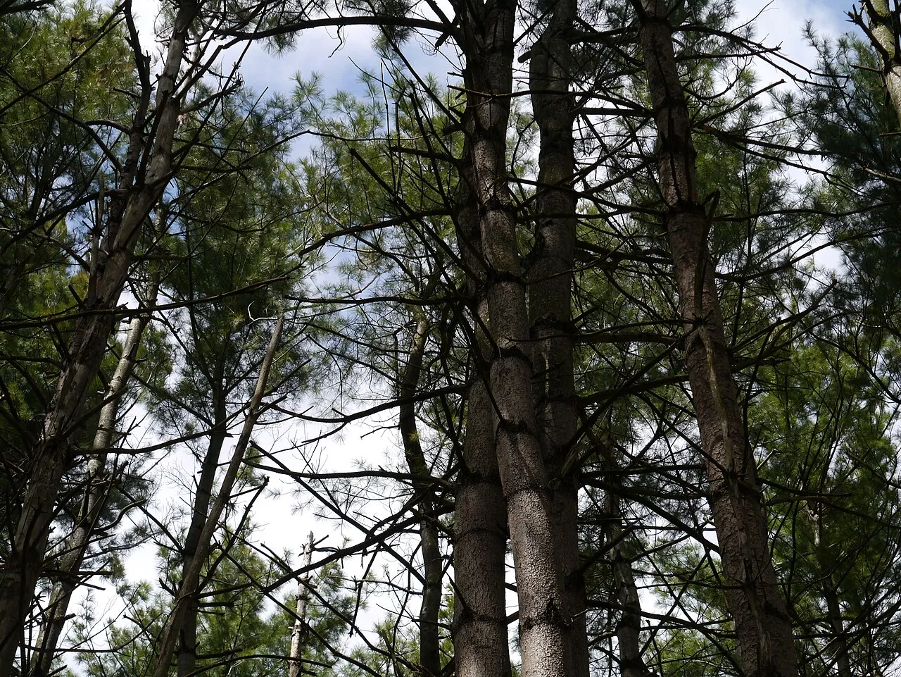 Lake Kegonsa State Park