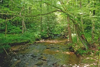 Smithgall Woods
