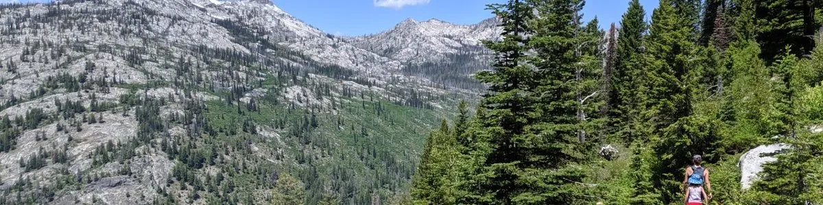 Old East Fork Camping Area