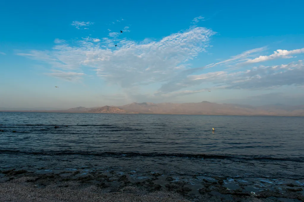 Salt Creek Beach Campground