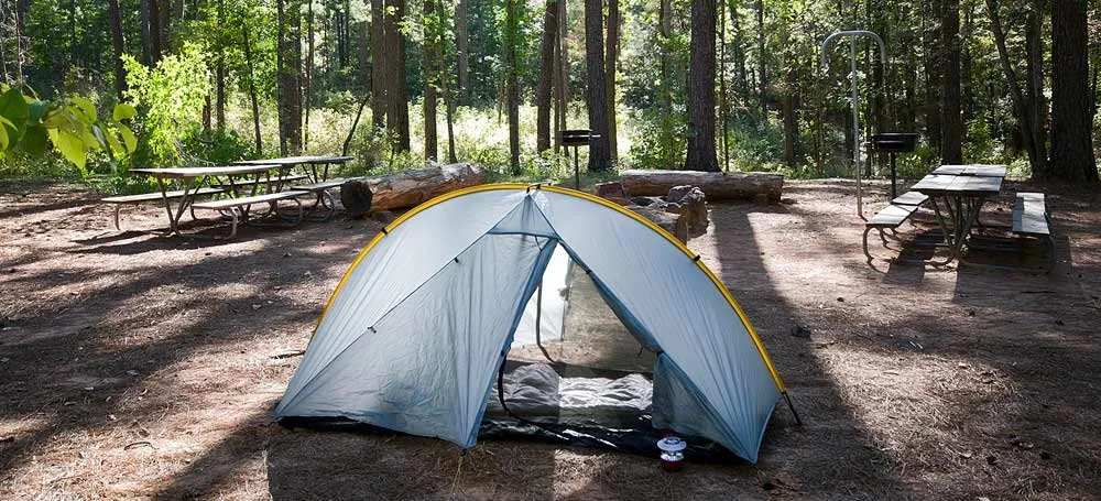 Mission Tejas State Park
