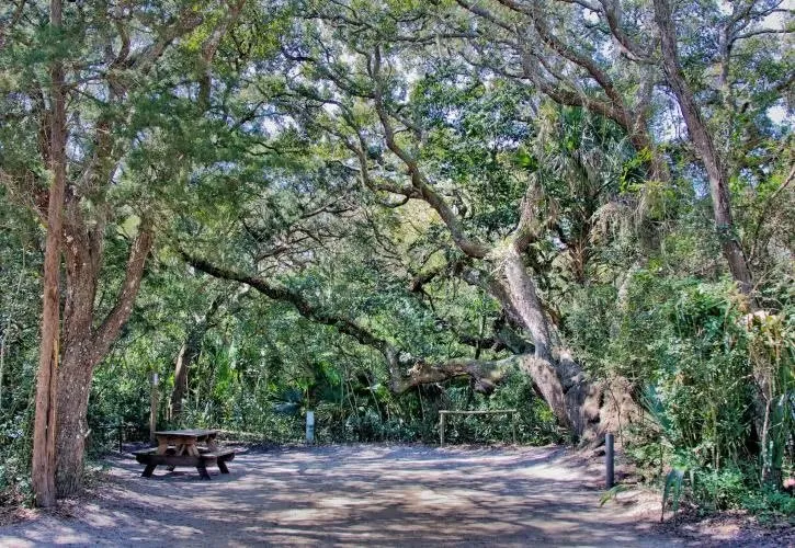 Anastasia State Park Loop Seye