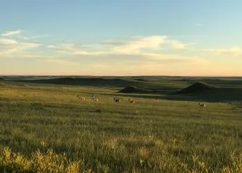 Red Cloud Campground
