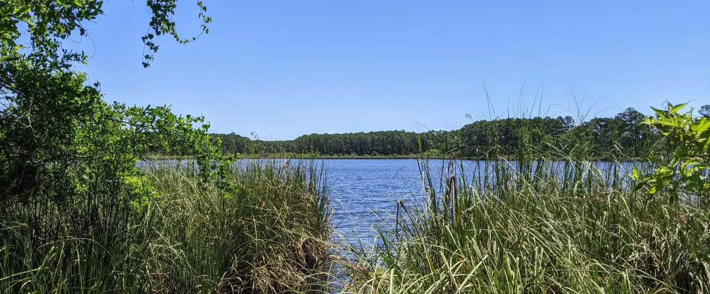 Bald Point State Park Campground