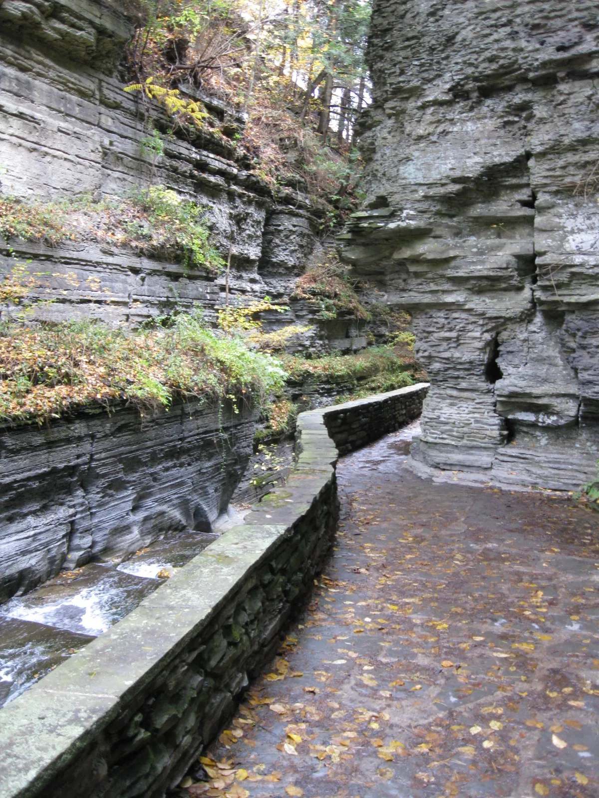 Robert H Treman State Park