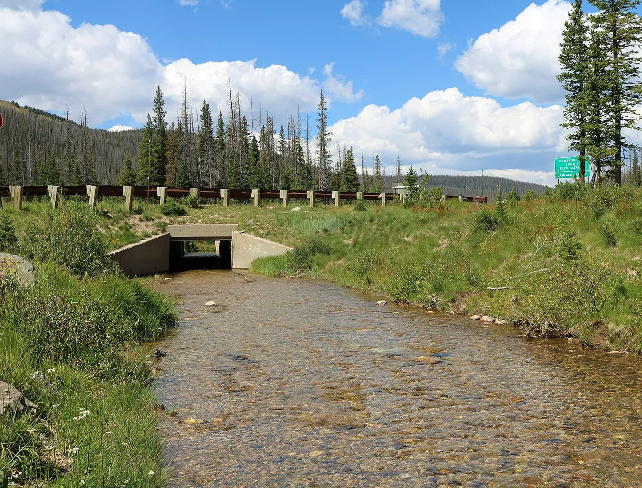 Platte River State Forest Campground