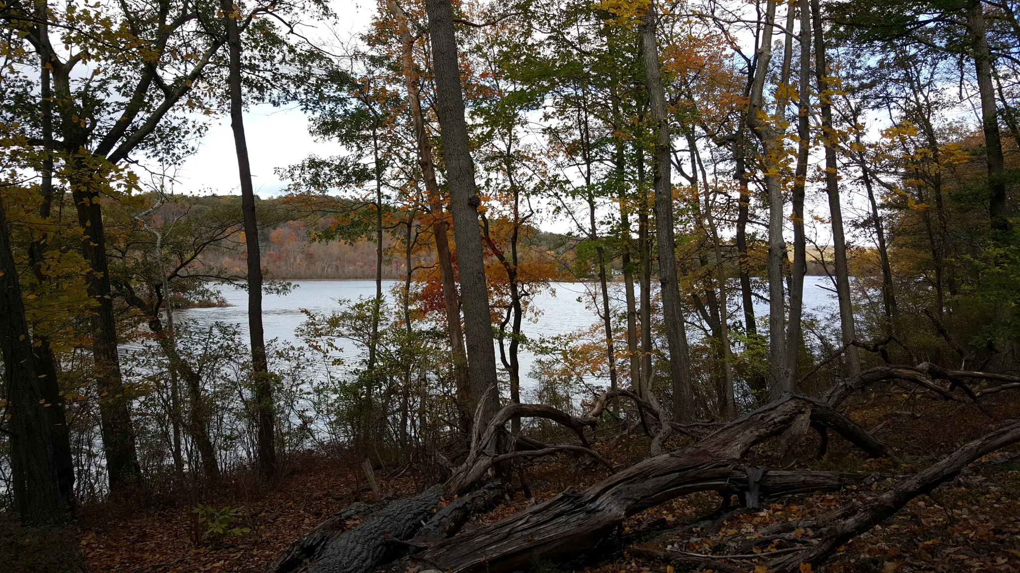 Swartswood Campground