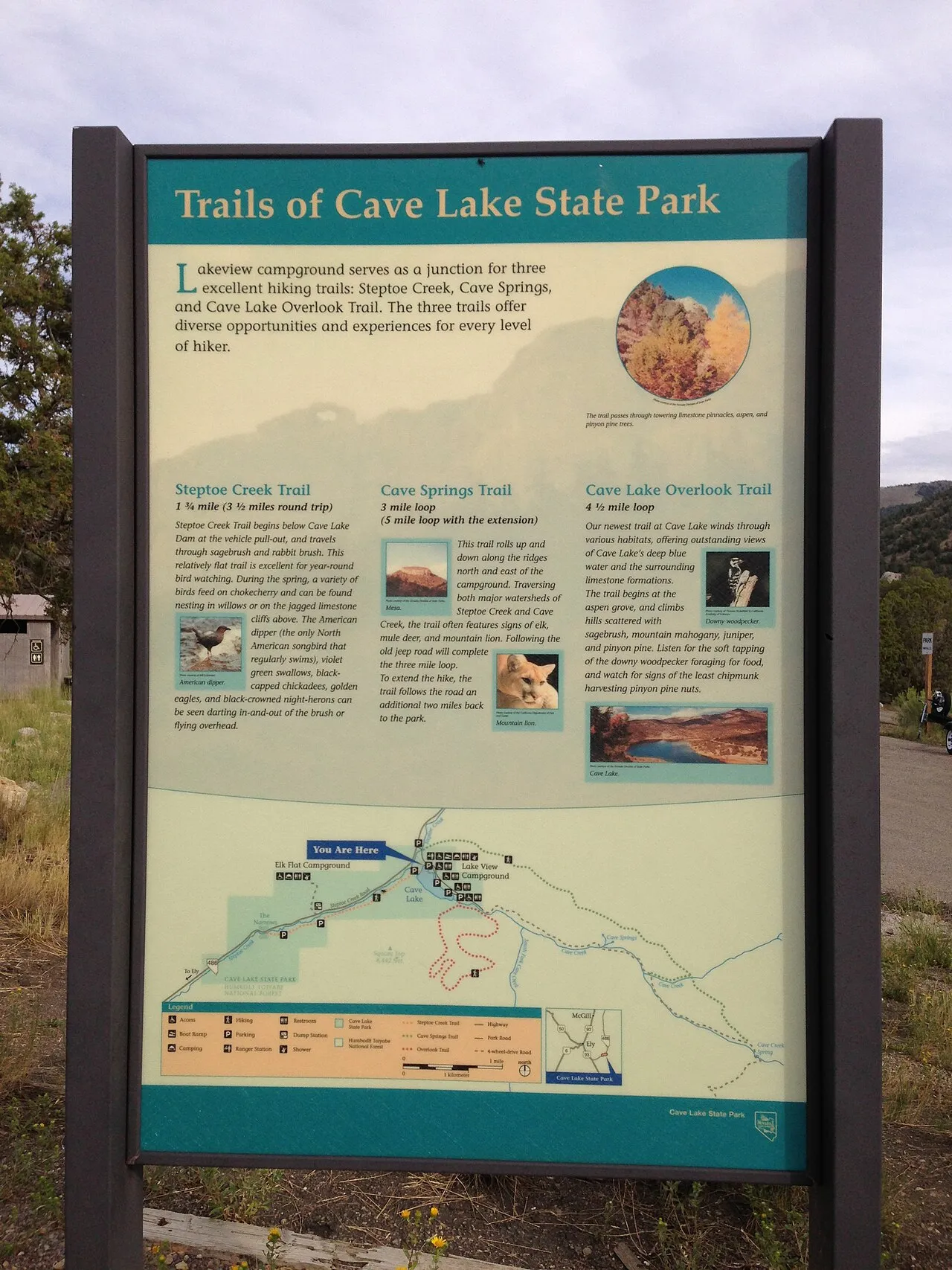 Cave Lake Campground