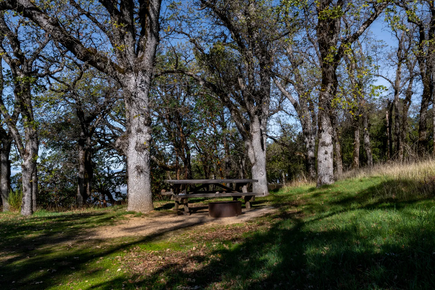 Oak Point Campground