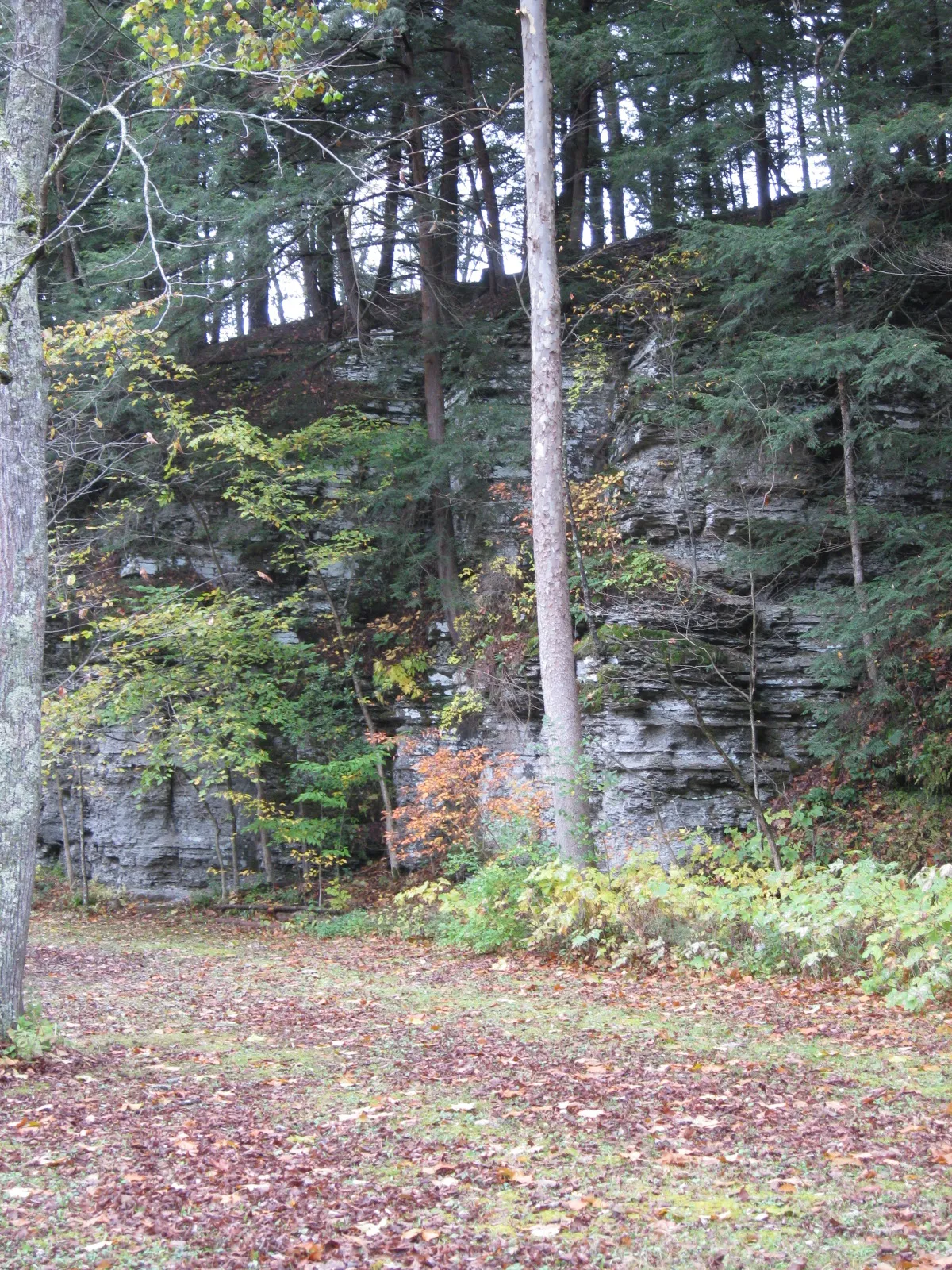 Robert H Treman State Park