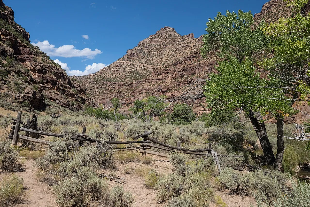 Desolation Gray Canyons Screen Cabins
