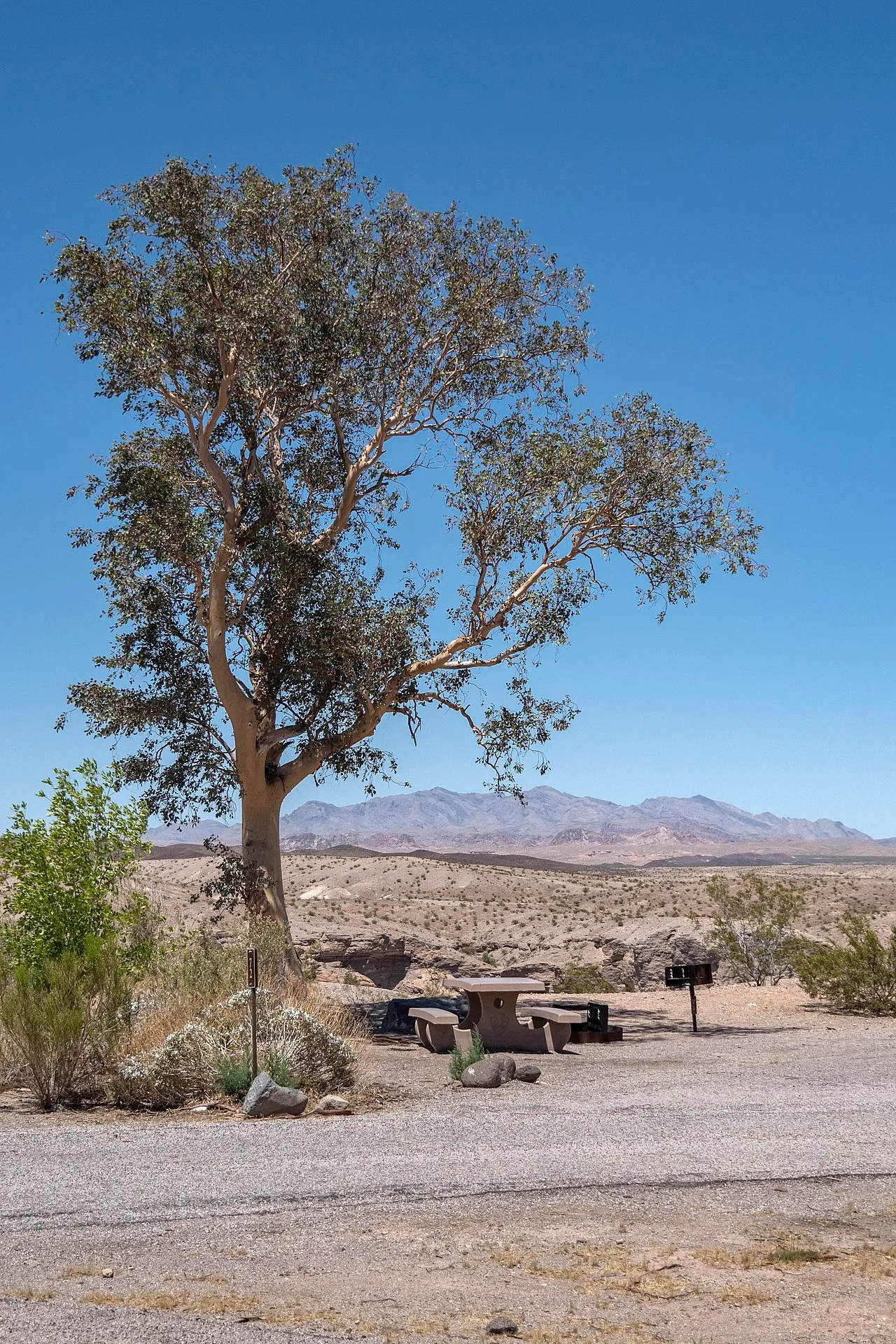 Cottonwood Cove Rv Park