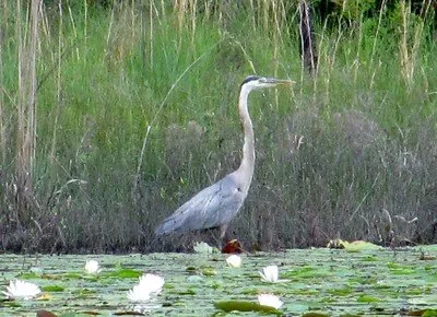 Seminole State Park