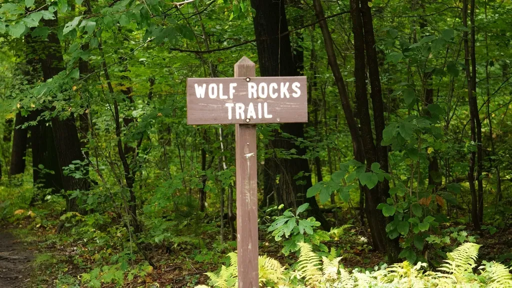 Laurel Summit State Park