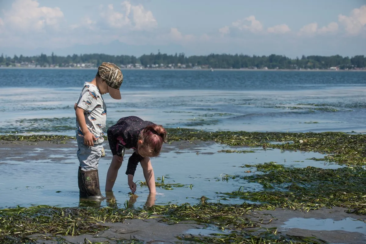 Birch Bay State Park