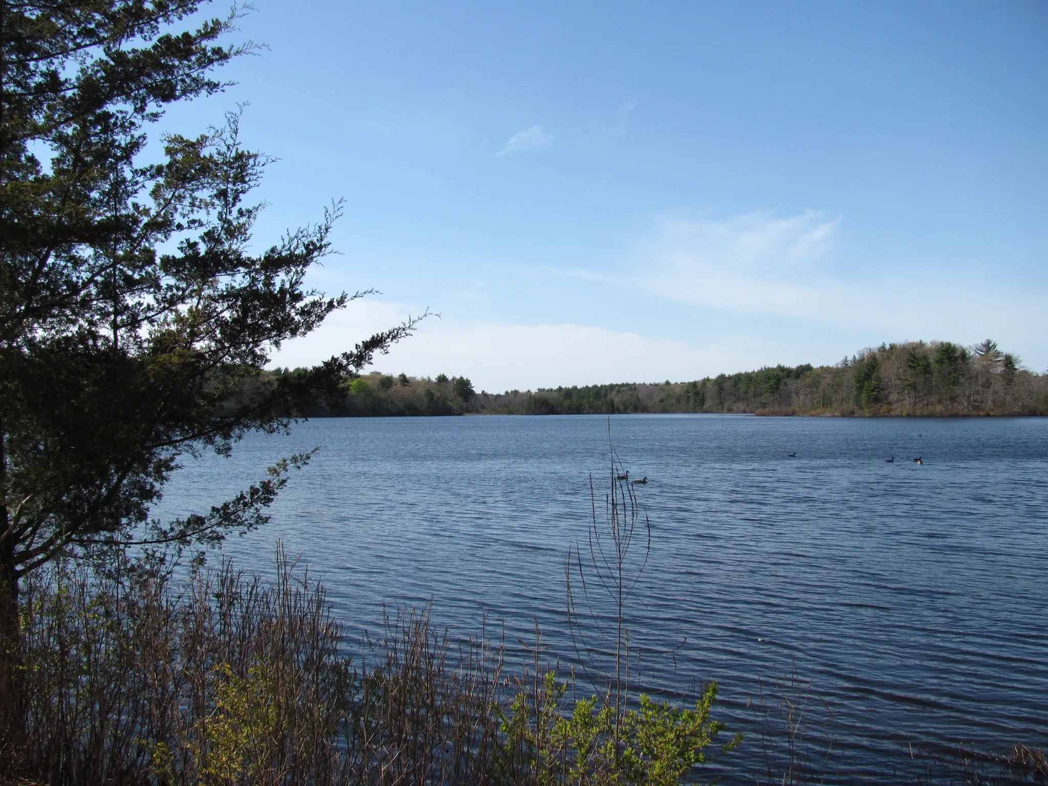 Watson Pond State Park