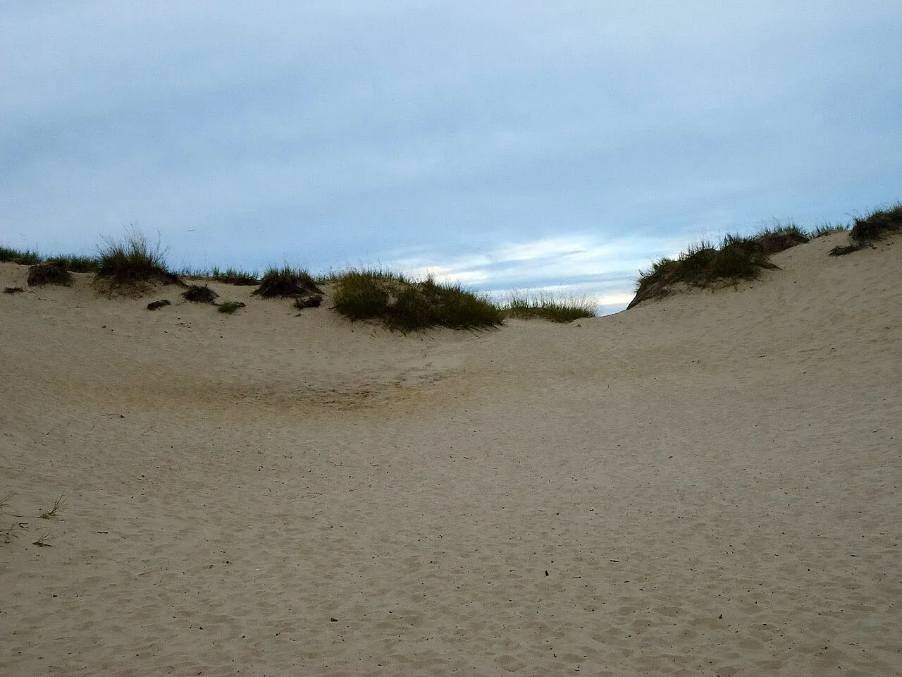 Kohler-Andrae State Park