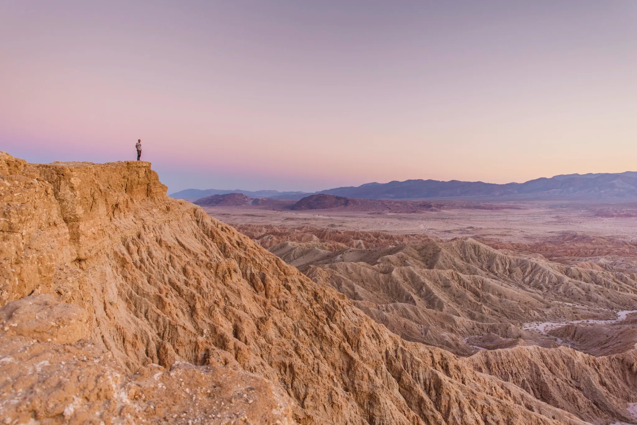 Borrego Palm Canyon Campground