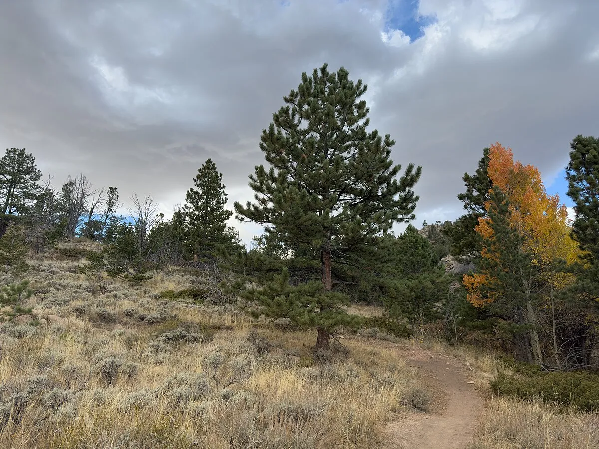 Vedauwoo Campground