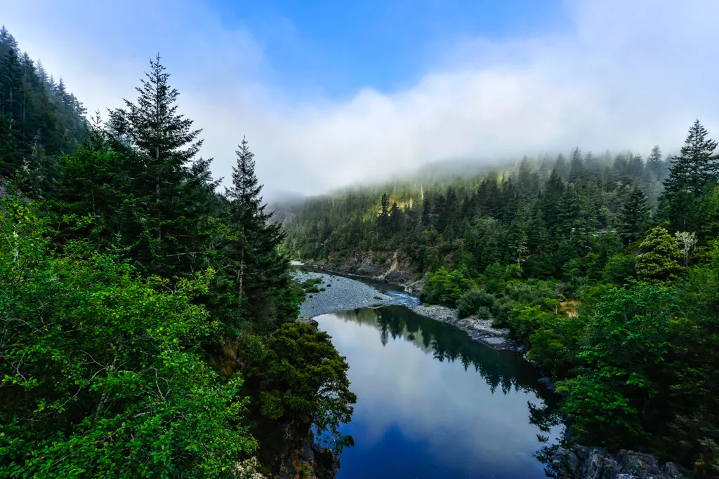 Jedediah Smith Redwoods Campground