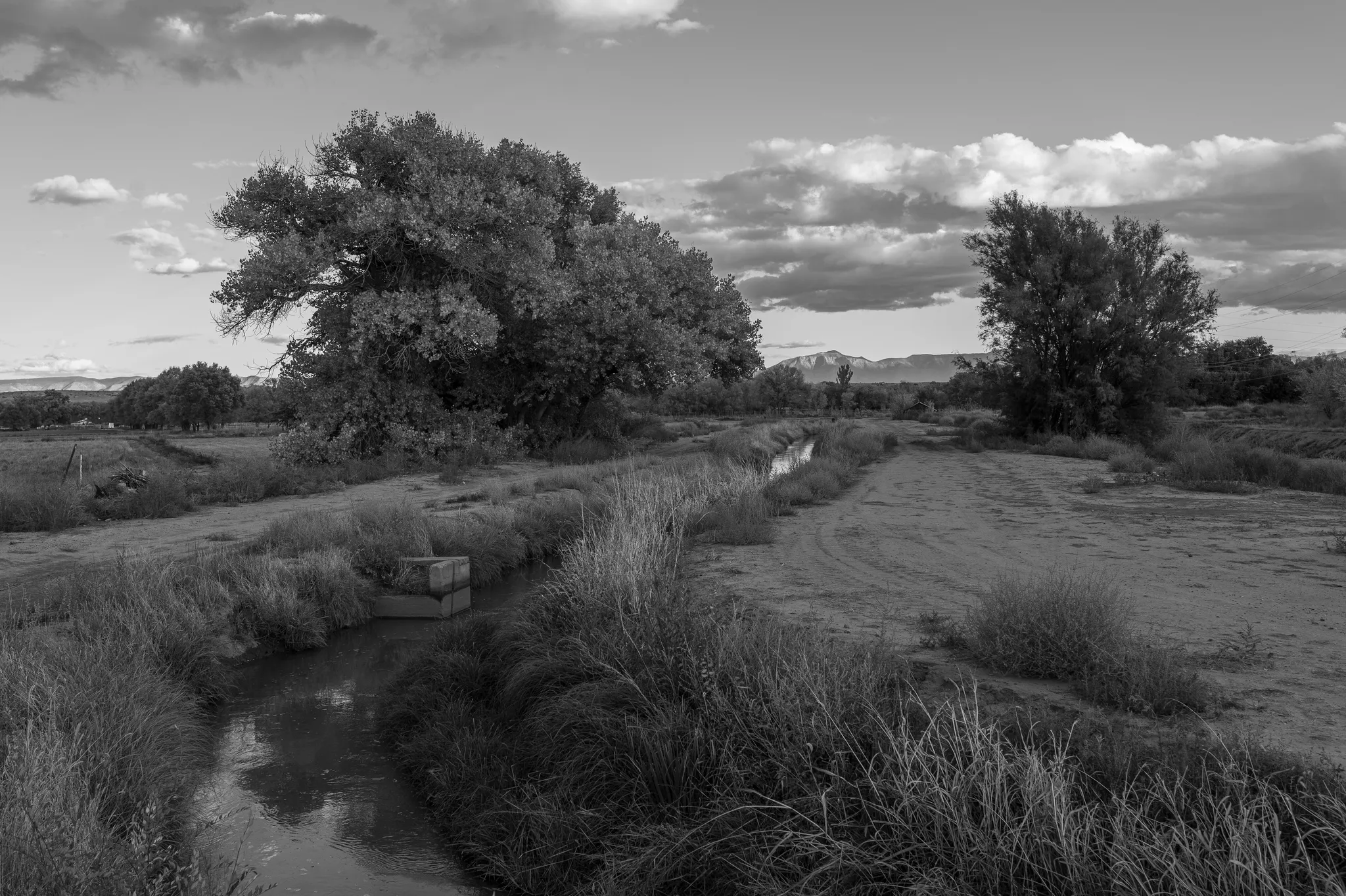 Manzano Mountains