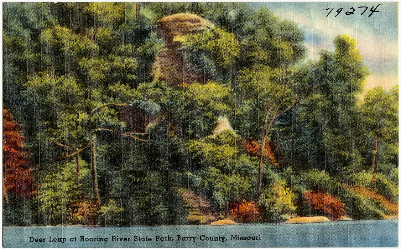 Campground 1 (Sites 1-6 And 42-77)