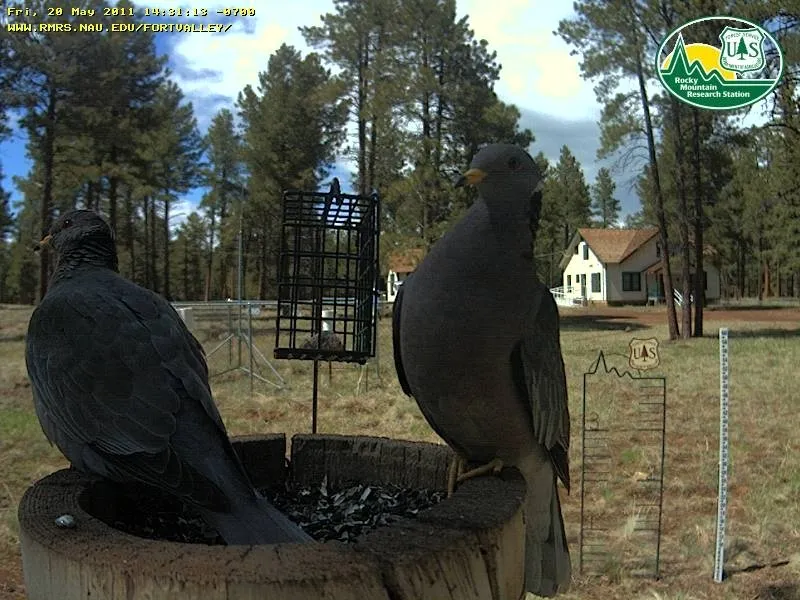 Appletree Group Campground