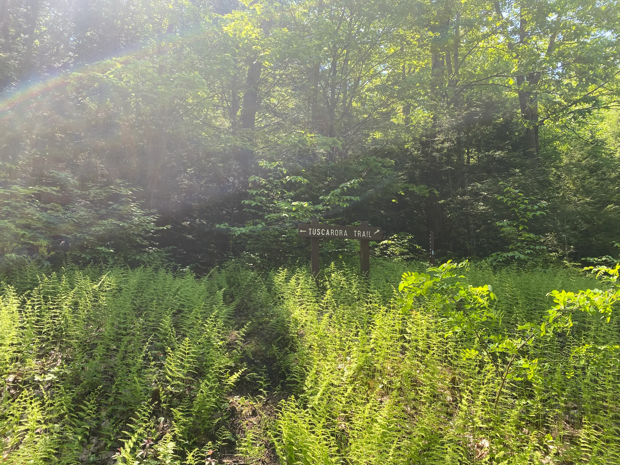 Fowlers Hollow State Park