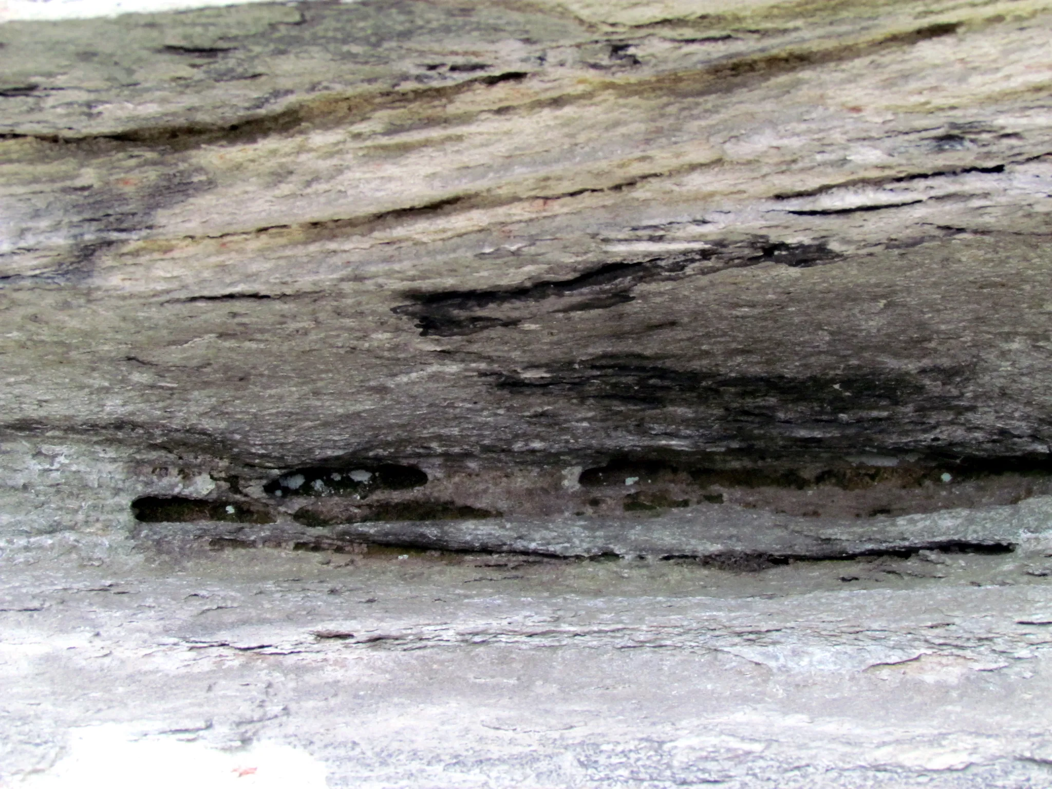 Pilot Mountain State Park