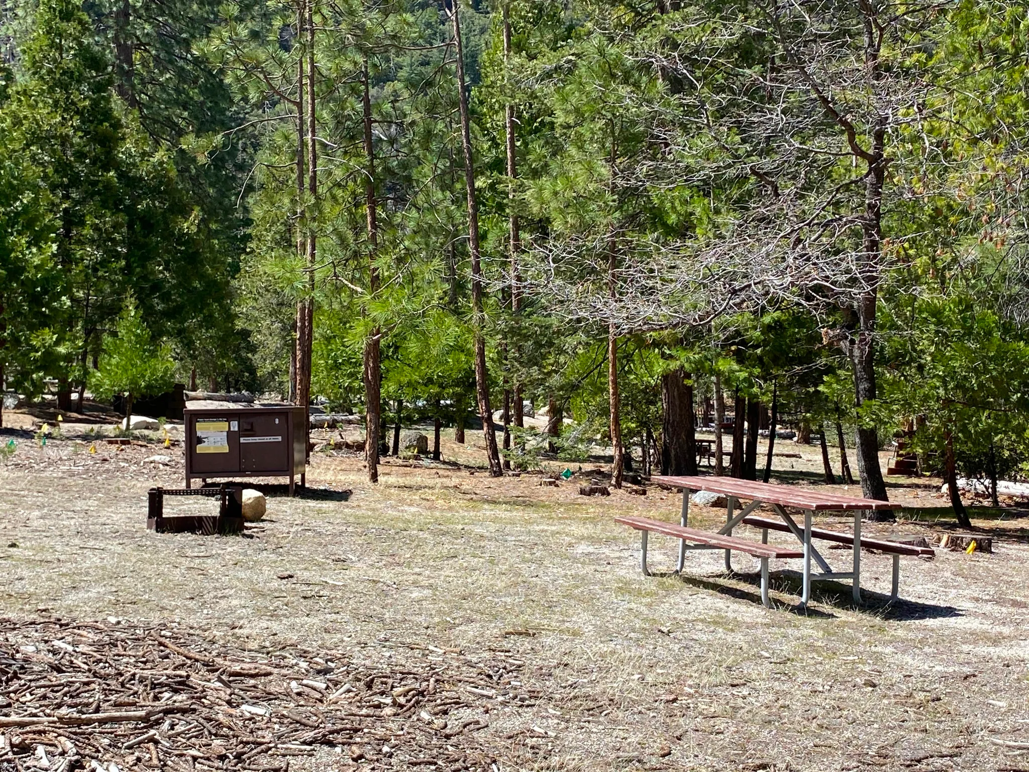 Moraine Campground (Ca)