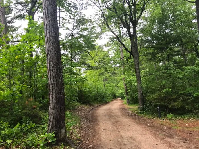 Lake Superior State Forest Campground