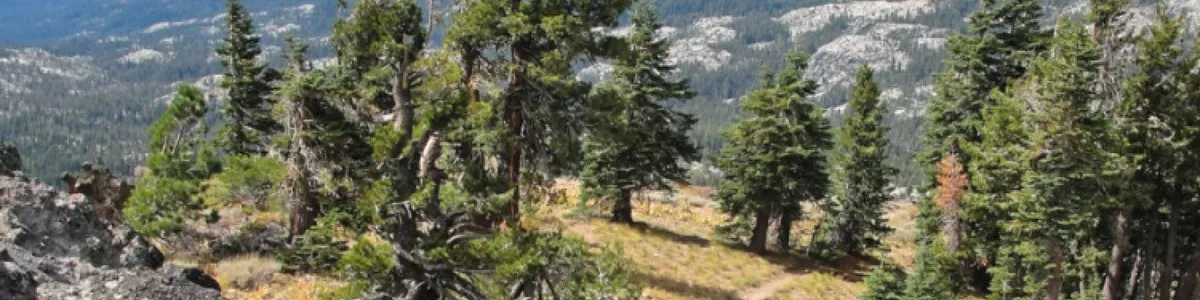 Summit Camping Area