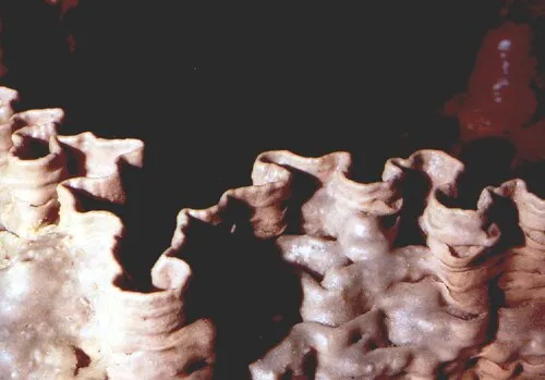 Cathedral Caverns State Park