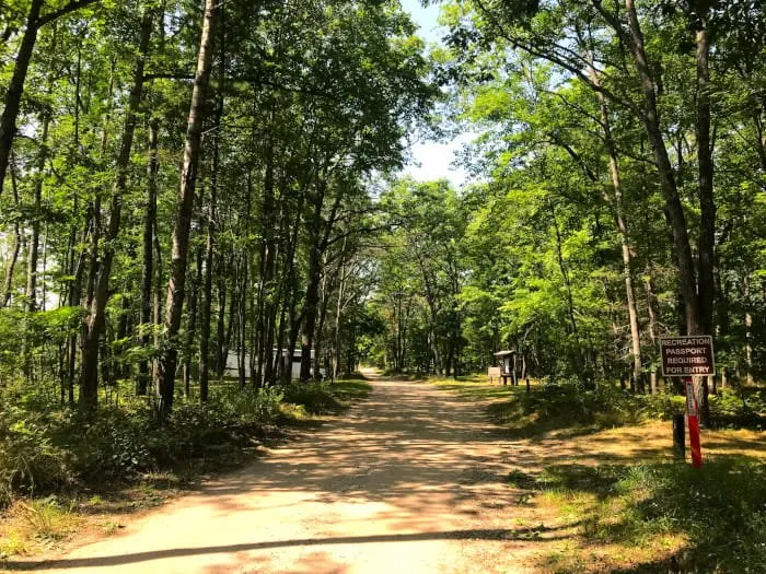 Little Wolf Lake State Forest Campground