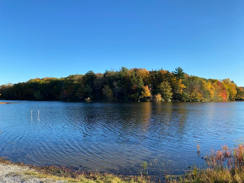 Wawayanda Campground