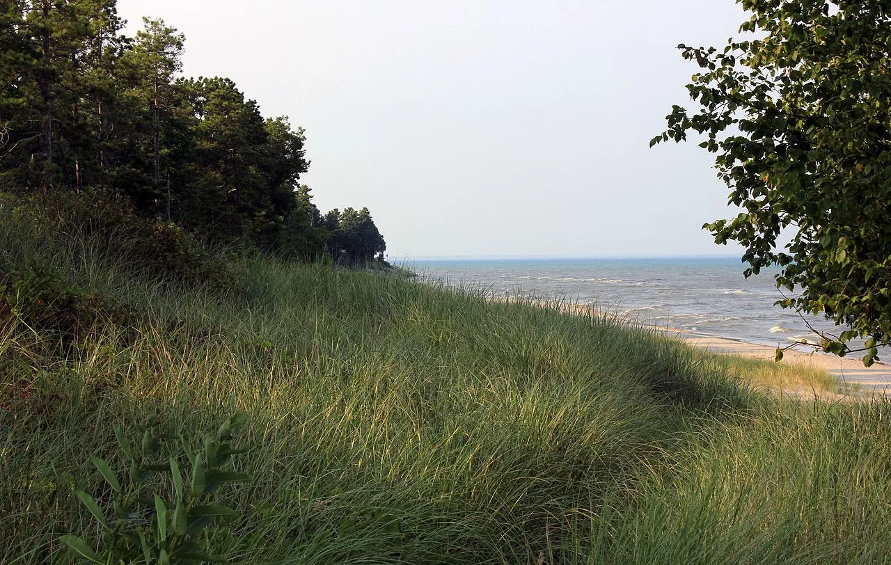 Point Beach State Forest