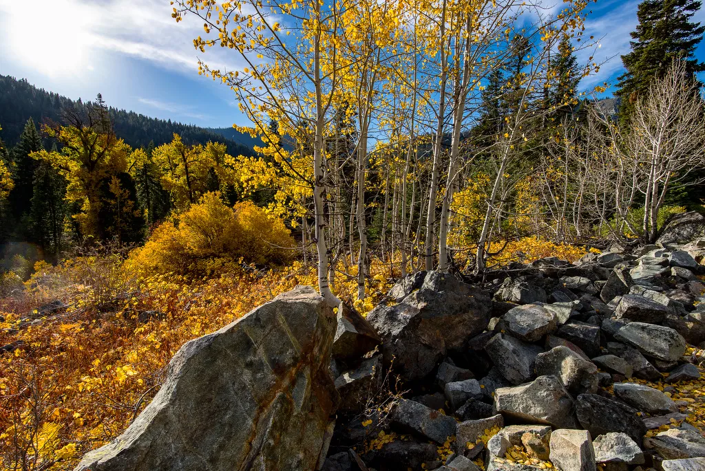 Jamison Creek Campground