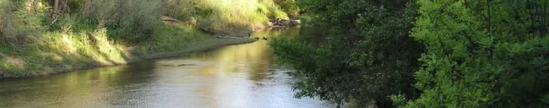 Caswell Memorial State Park Campground