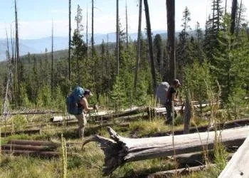 Old East Fork Camping Area