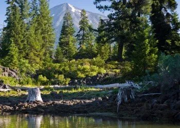 Head Of The River Campground