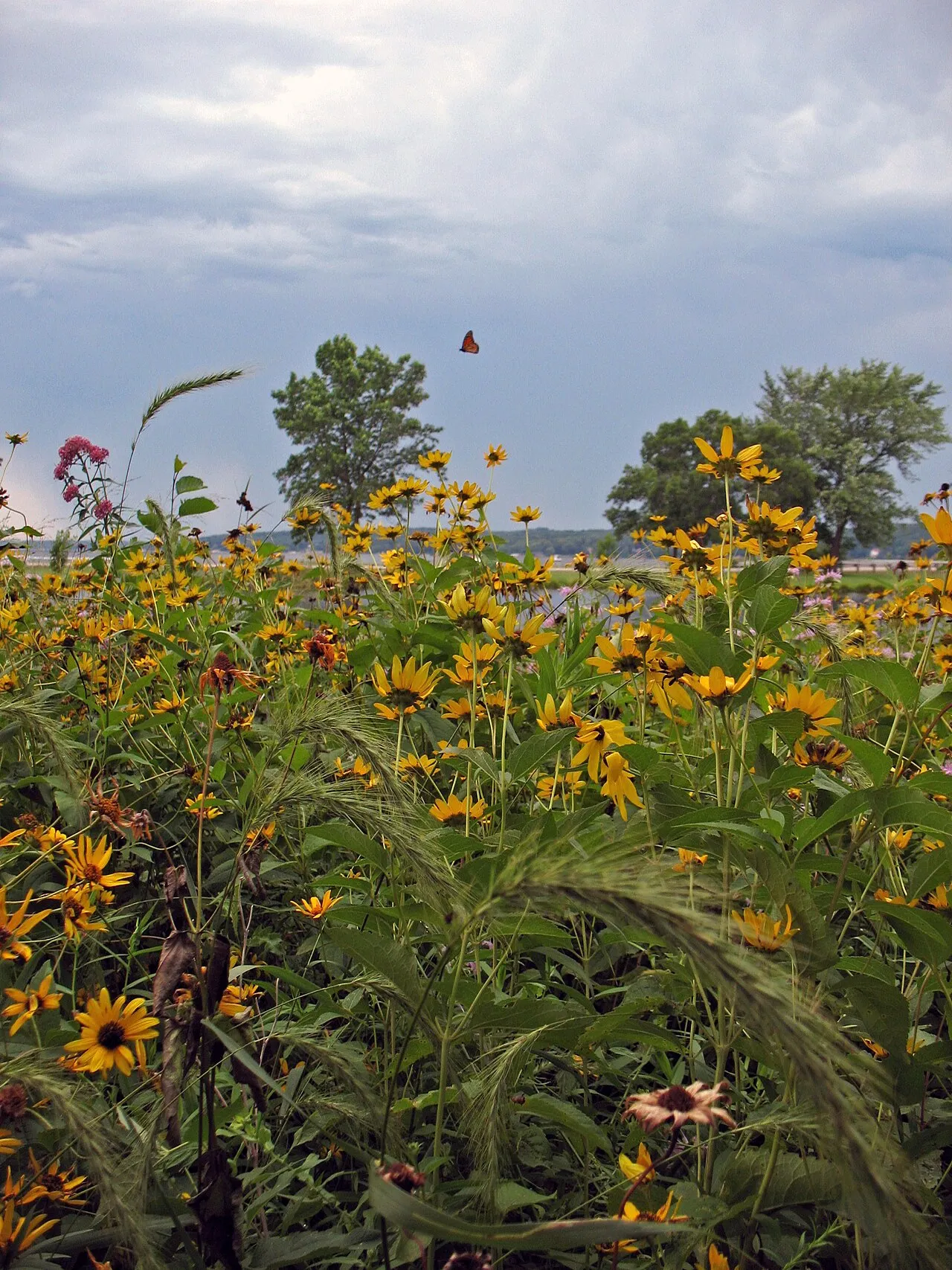 Big Foot Beach State Park