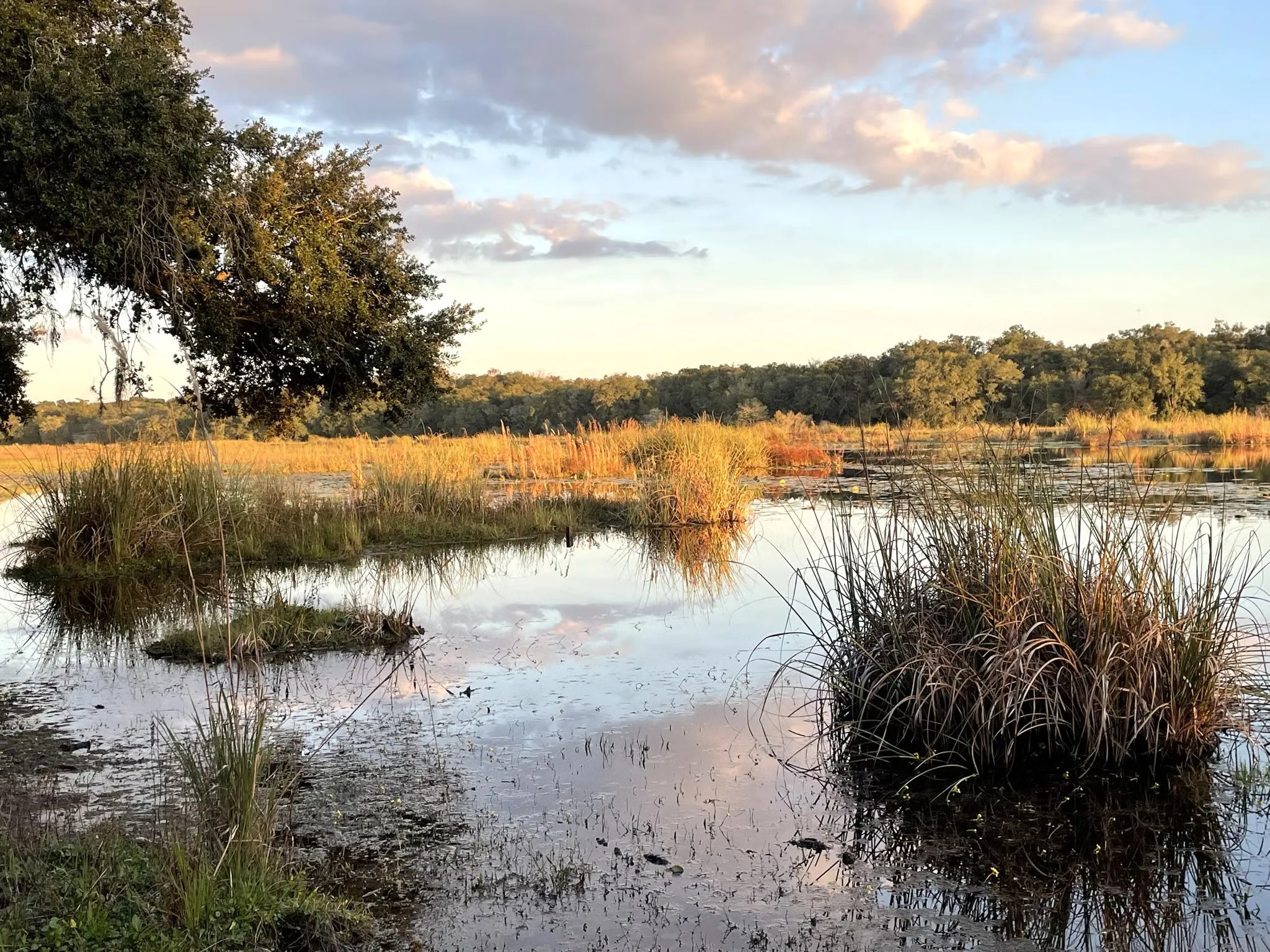 Fort Cooper State Park Campground