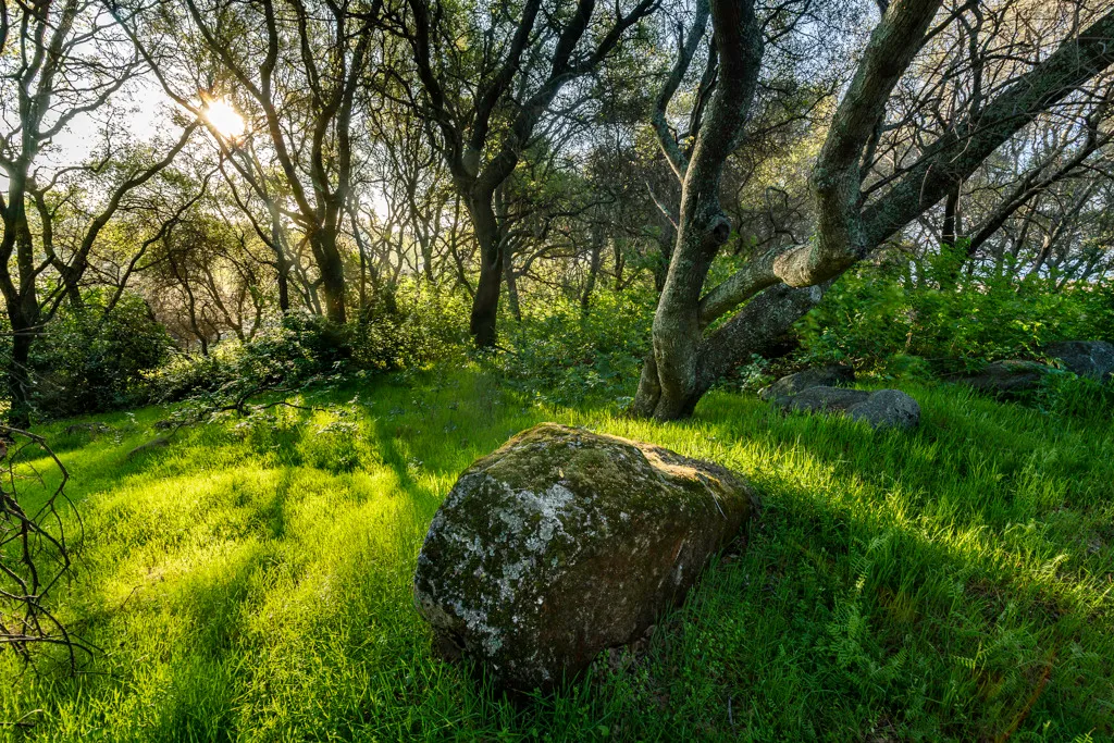 Peninsula Campground