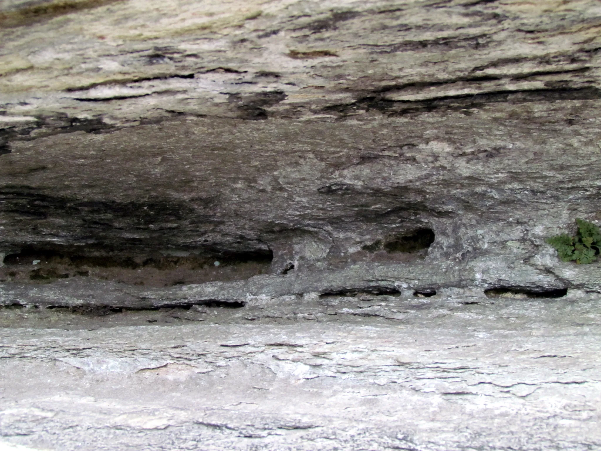 Pilot Mountain State Park