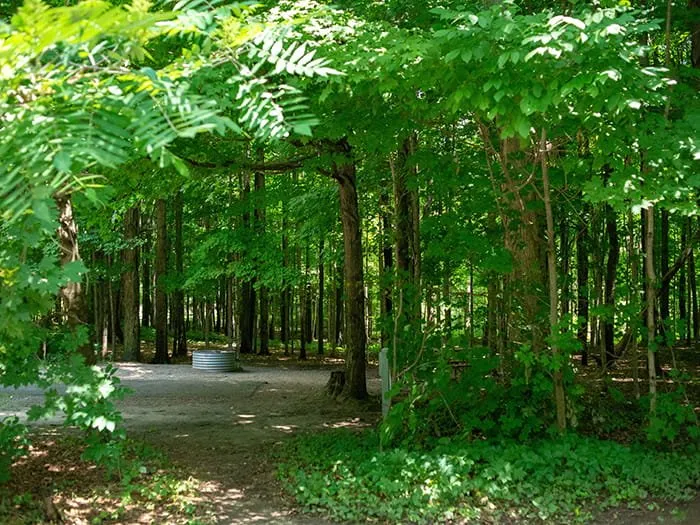 Ionia Equestrian Campground