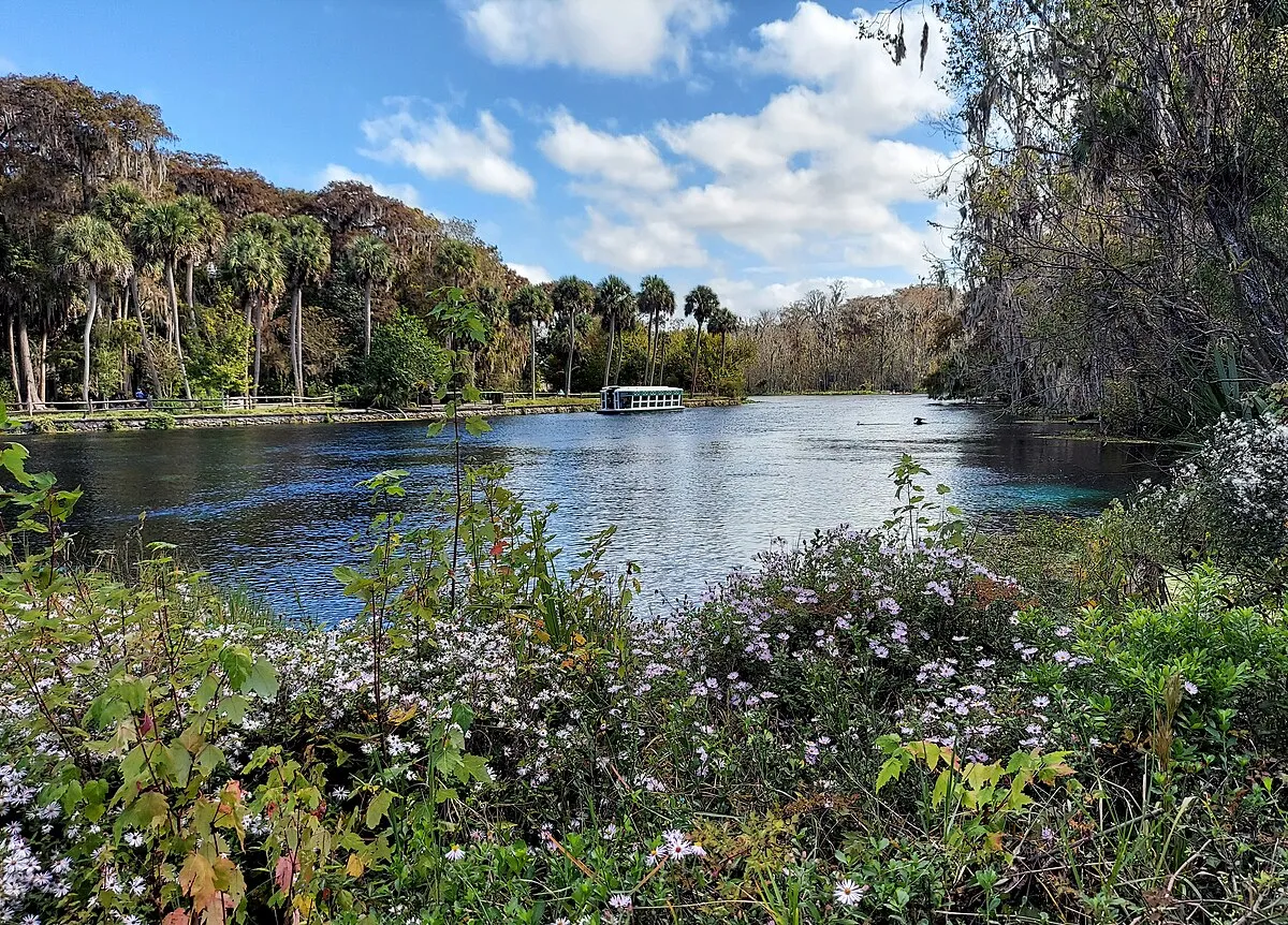 Silver Springs State Park Campground