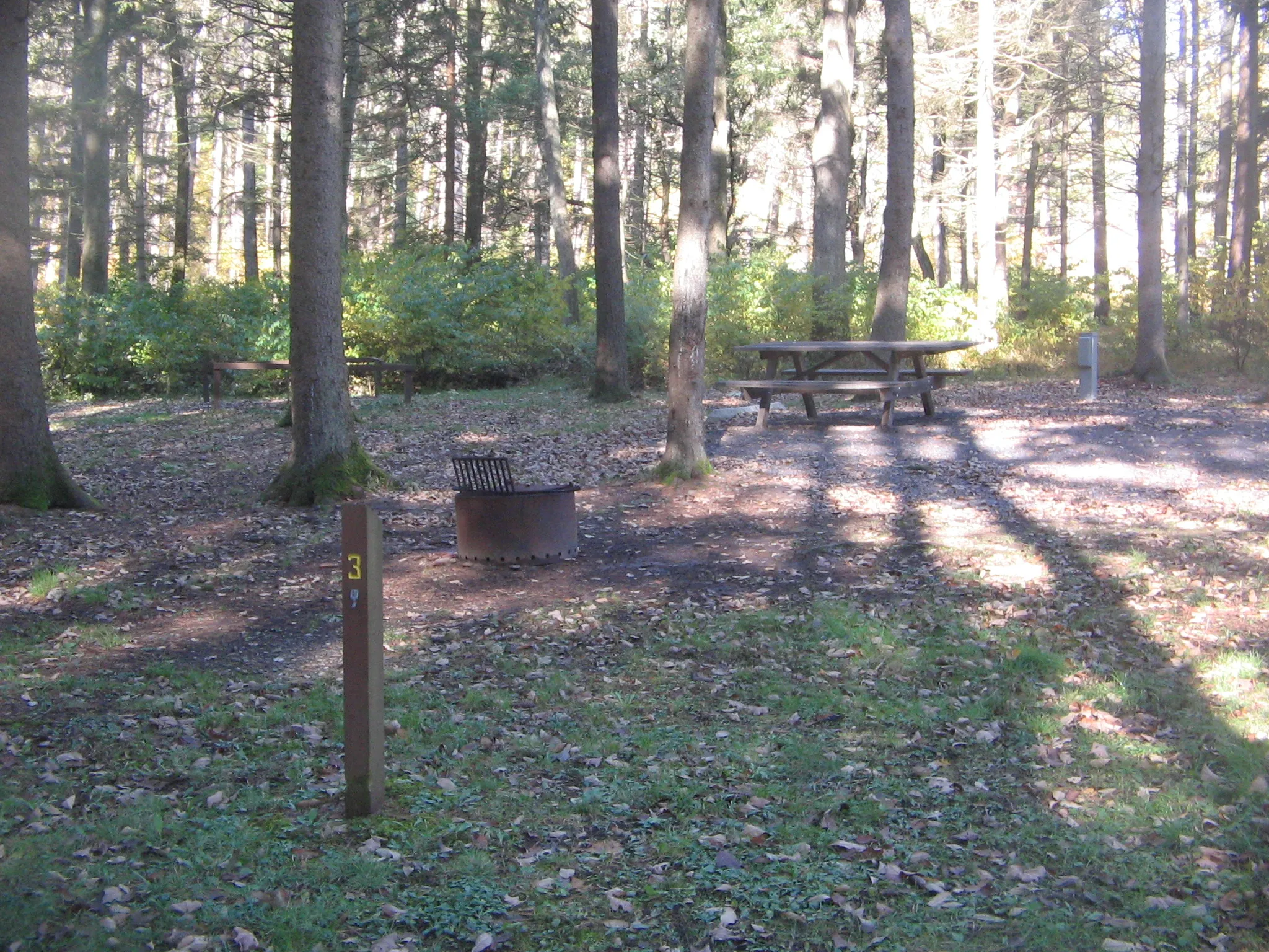 Hyner Run State Park