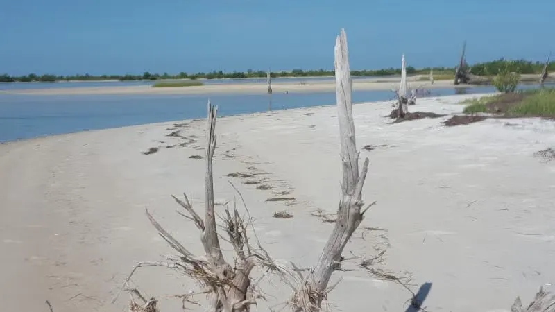 Anclote Key Preserve State Park Campground