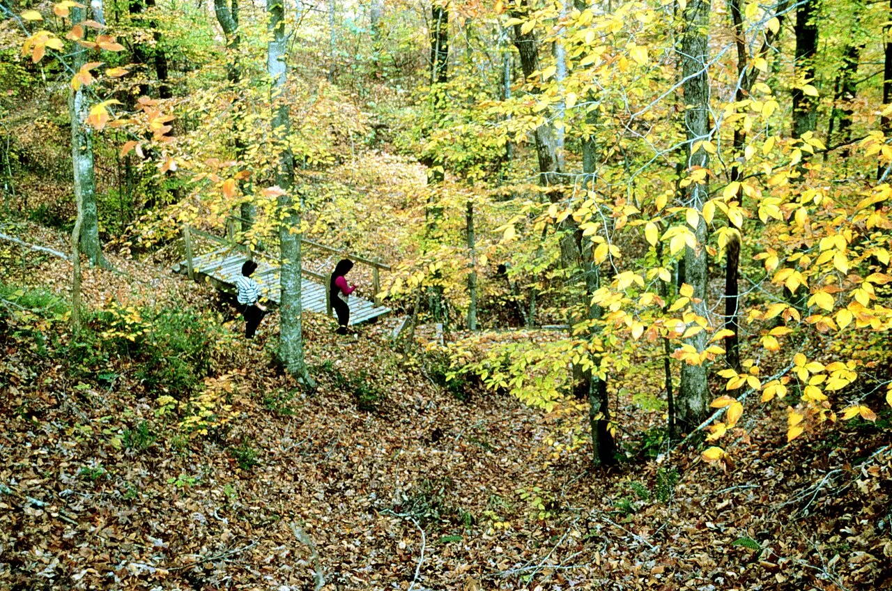 Village Creek Campground
